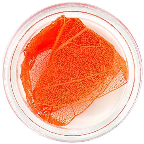 Narancssárga szárított levelek