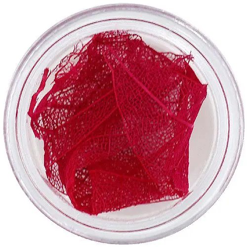 Bordó szárított levelek