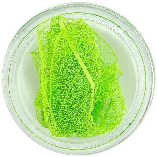 Világoszöld szárított levelek