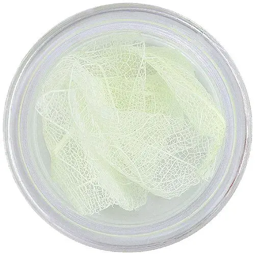 Fehér szárított levelek