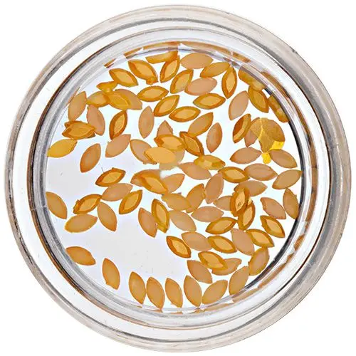 Körömdíszítő oválisok - sárgás narancssárga, gyöngyházfényes