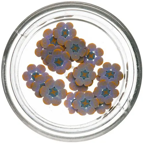 Fimo Nail Art - szeletelt virágrúd